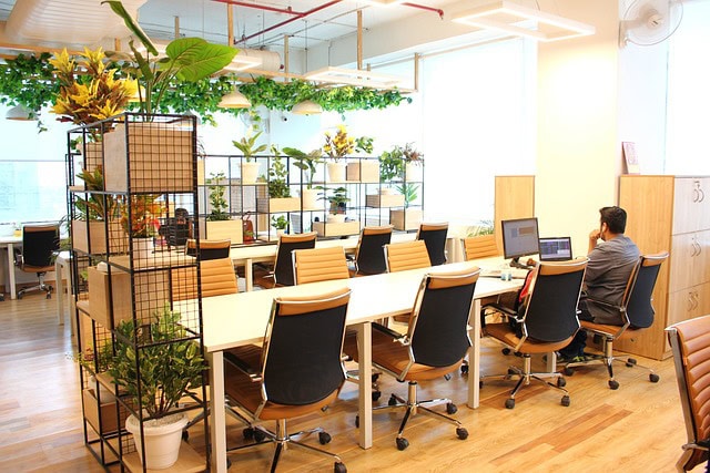 Öko-freundliche Co-Working-Spaces: Ein neuer Trend für umweltbewusstes Arbeiten